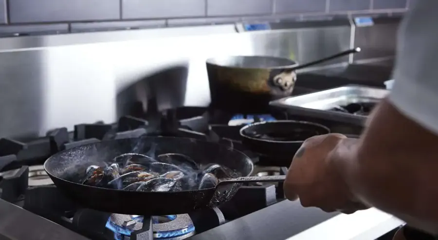 Luus Industries official commercial kitchen equipment image